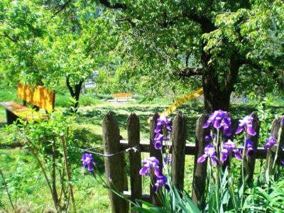 Garten am Schiedhof